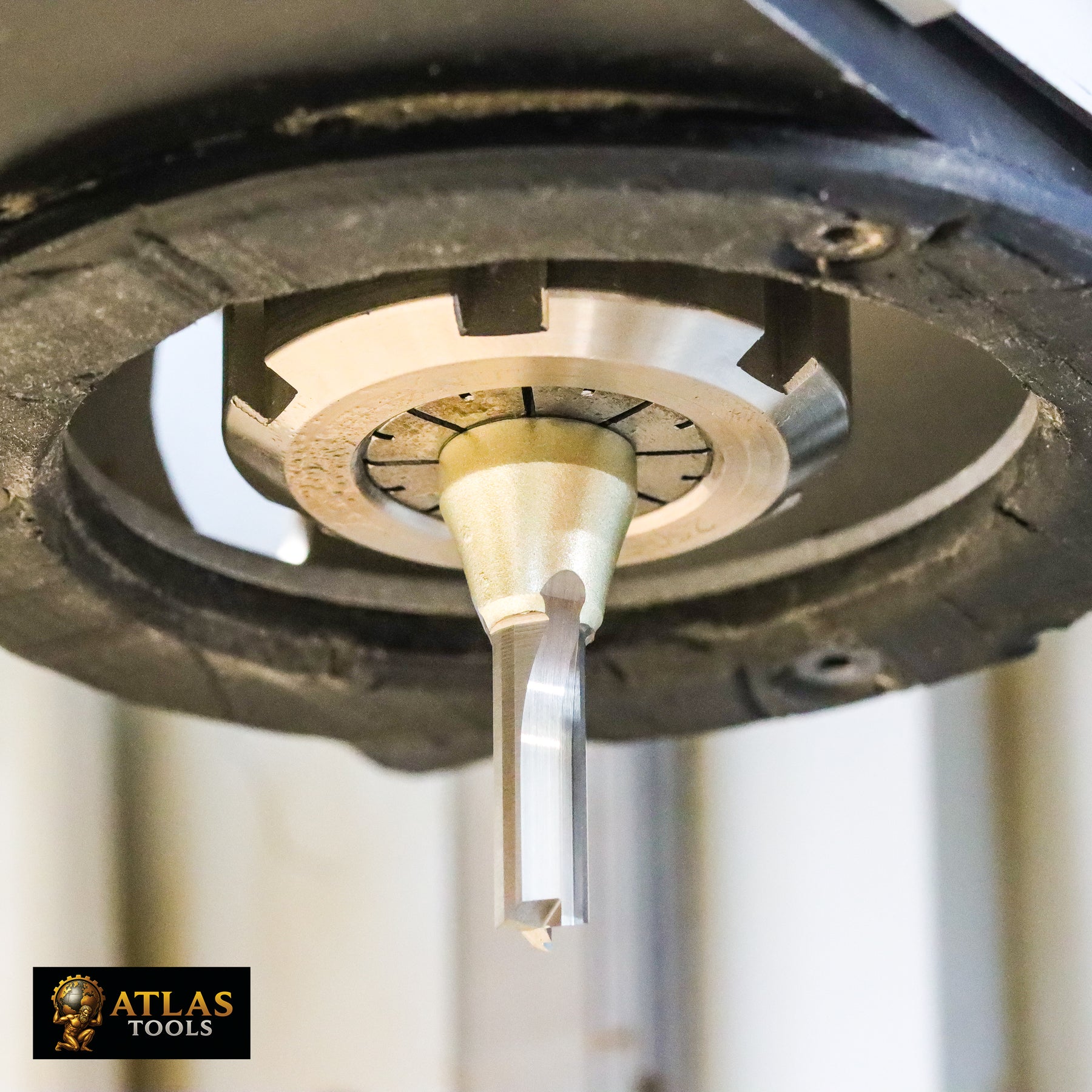 Atlas Tools TCT Router Bit 6x22 in Tool Holder Close Up View